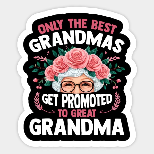 Only The Best Grandmas Get Promoted To Great Grandma Sticker by Pikalaolamotor